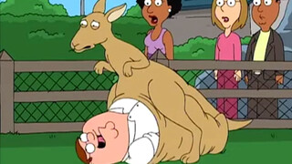 Peter, you are really useless.