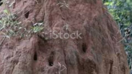 Unveiling the Mystical Nuno of the Phili 2024-07-19