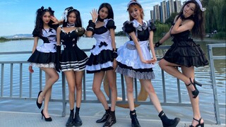 【TwT Maid Edisi Terbatas Musim Gugur】"Rollin" yang energik telah hadir!!!