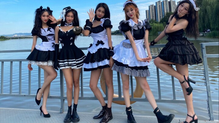 【TwT Maid Edisi Terbatas Musim Gugur】"Rollin" yang energik telah hadir!!!
