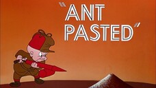 Looney Tunes _Ant Pasted_ Opening