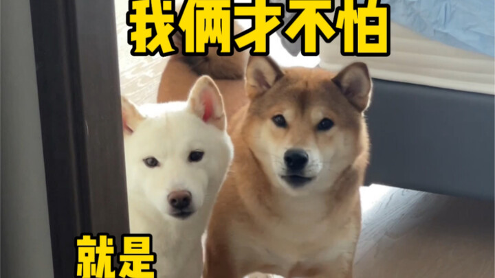 Anak Lelaki Kesayangan Mama (Xiao Kali Mi)