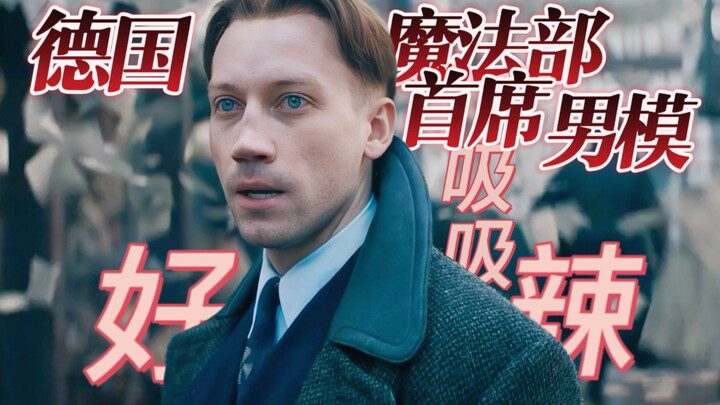 是什么支撑我看完神奇动物3