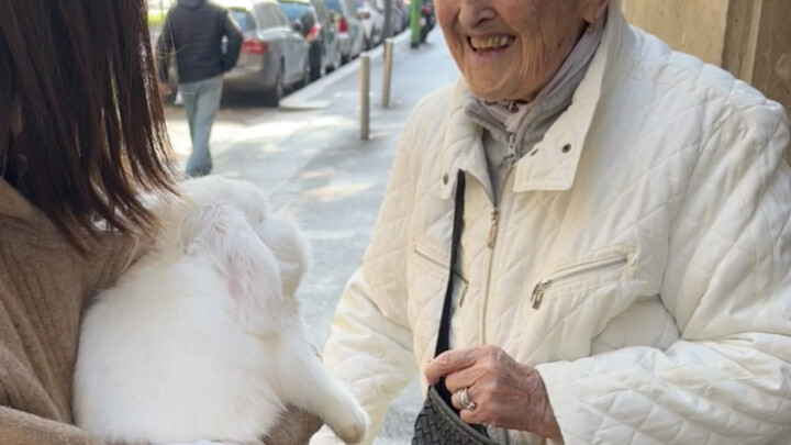 暴暴兔当街被撸(｡･ω･｡)ﾉ