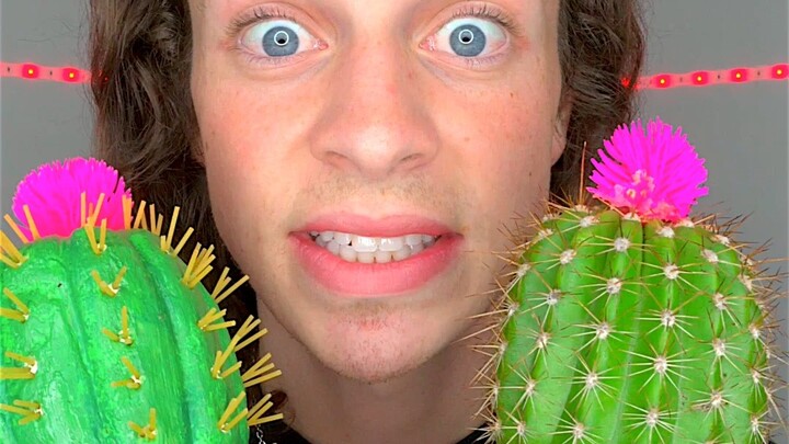 挑战！蛋糕！还是真的！