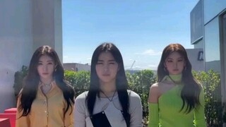 【ITZY李彩领】彩领×留真×礼志舞蹈挑战