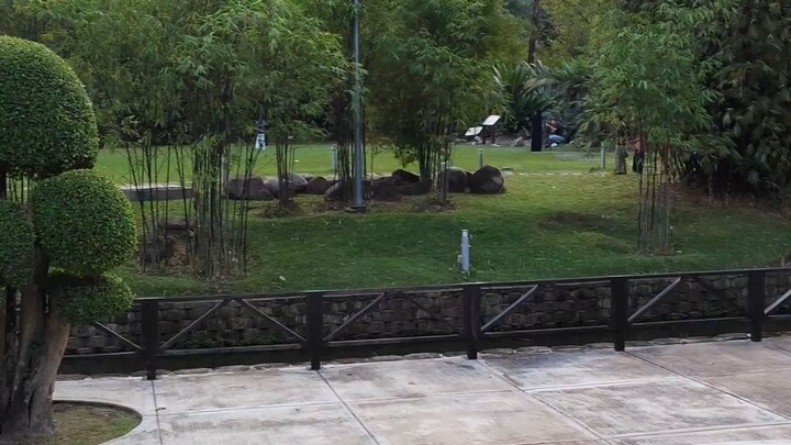 Botanical garden