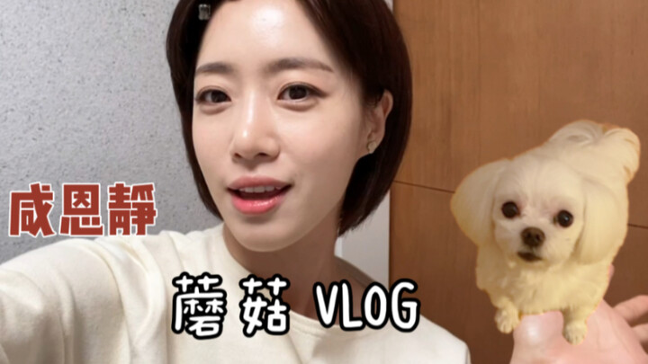 【Ham Eun-jung】Here’s the mushroom column where I chat with everyone about dogs!