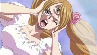 One piece #funnymoments#Cesarxbuggy