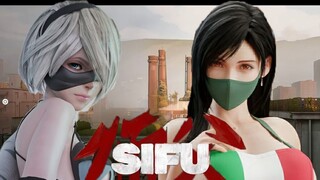 [Double Enjoyment] Tifa and 2B's Kung Fu performance "Master MOD"