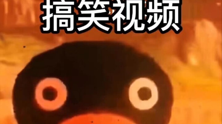 Which is better: the old Q Coin Brother or the current Q Coin Brother?