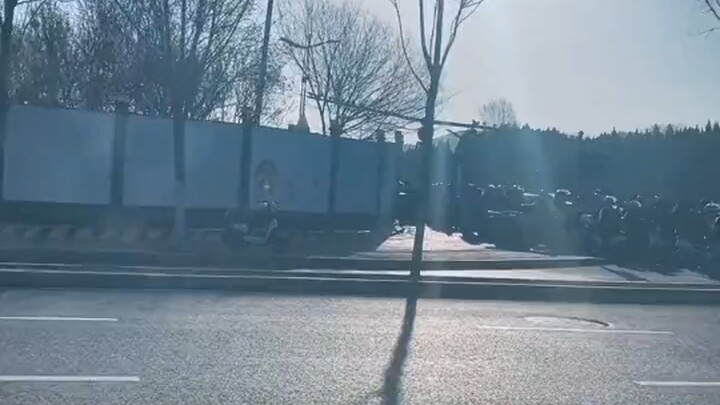 لا يمكن رؤيته في أي مكان آخر سوى جينان.