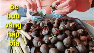 Ốc Bưu Vàng Hấp Bia Rất Thơm Ngon. Thánh Ăn Cả Thau Ốc Luôn | Biển Nguyễn ngọc.
