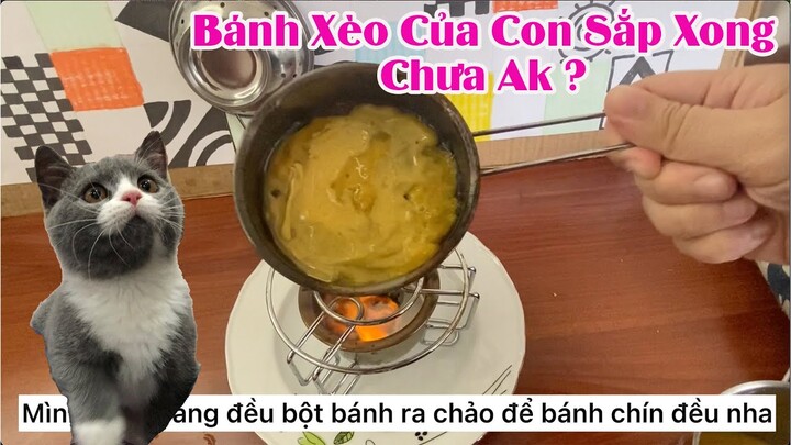 Tự Nấu Bánh Xèo Tuyệt Vời Nhất Cho Mèo Yêu - Răng Cửa vlog