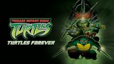 TMNT: Turtles Forever (2009)