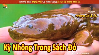 Những Loài Động Vật Có Hình Dáng Kì Lạ Vô Cùng Thú Vị || Review Con Người Và Cuộc Sống