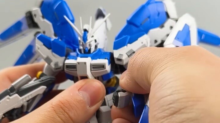 Hãy đến và cùng tôi tạo dáng cho một con lợn biển