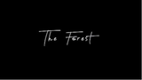 The Forest __ Cinematic