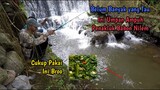 Mancing Babon Nilem Yang Susah Makan Di Sarangnya || Coba Umpan Ini Broo!!