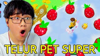 AKU BORONG PET PREMIUM TERKEREN DI ROBLOX PET SIMULATOR 99!!!