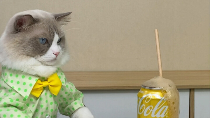 Am I seriously the last to find out about the reaction between paper straws and Coke?