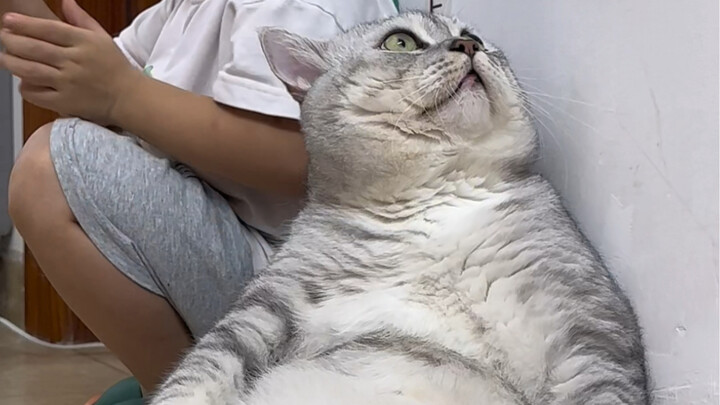 Đại Tráng bị dọa cho sợ hãi