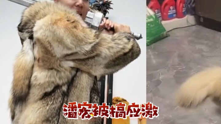 Pan Honghong’s heated moment?! “How could you bear to let your child skip a meal?”