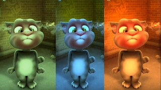 Mèo tom Nhảy cute | Mèo nhảy dễ thương có nhạc Tom Singing Chinese Song #thỏmập |#betom