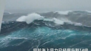 After watching the video, I don’t want to be One Piece anymore!