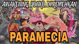 PARA PENGGUNA PARAMECIA TERKUAT - REVIEW ANIME