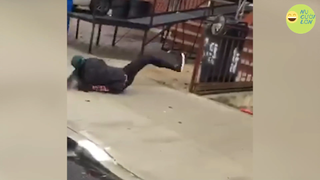 Đóng Tiền Mạng Thì Phải Xem Cái Này p32 #ChuaHe