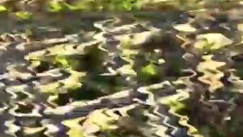 hampir sepuluh tahun🗿🗿