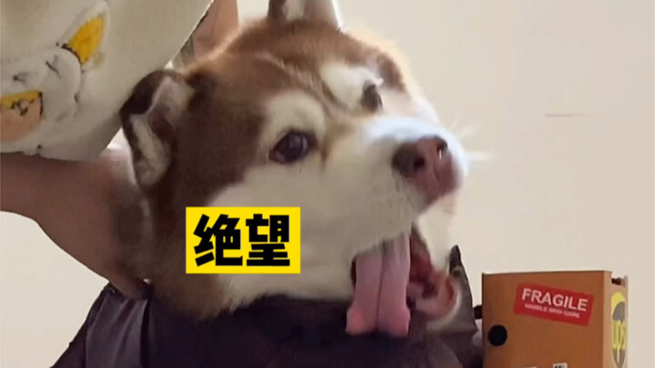 ถ้าพนักงานส่งของมาเคาะประตูแบบนี้ คุณกล้าเปิดประตูให้ไหม?