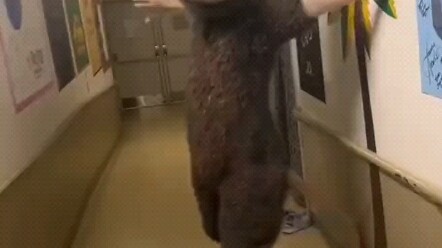 Doraemon would die if he saw this!