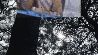Assalamualaikum warahmatullahi wabarakatuh, Subhanallahi wabihamdihi Subhanallahil adzim