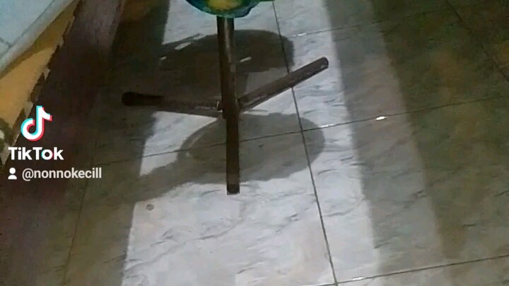 Tiara sebatas hiburan