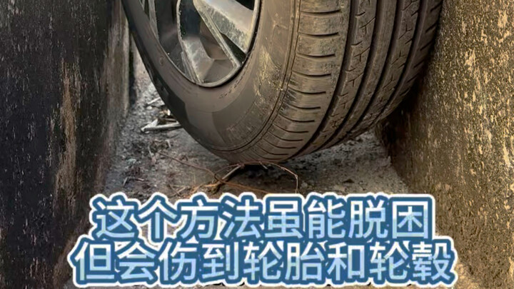 【Car God No. 1】Newest video is live—please follow!