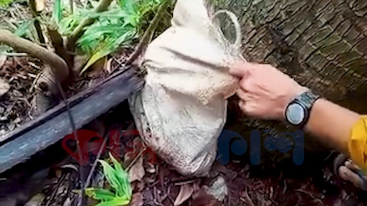 বাজারের ব্যাগে নবজাতকের মরদেহ, কাটা হয়নি নাড়িও