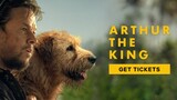 ARTHUR THE KING (Adventure / Family) movie