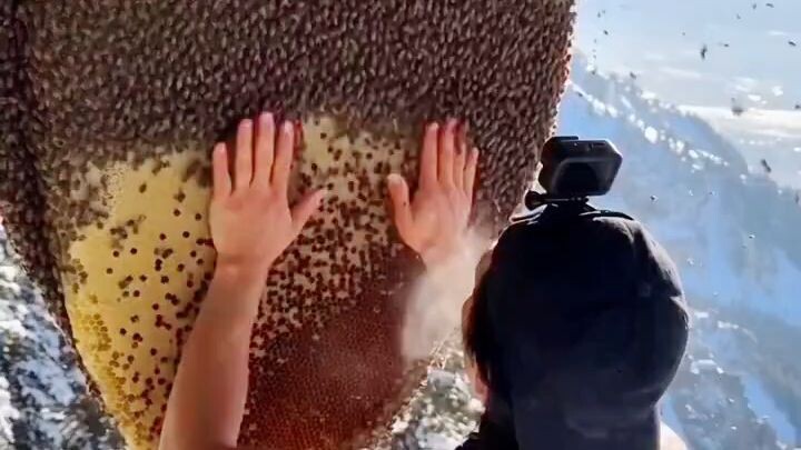 #bee