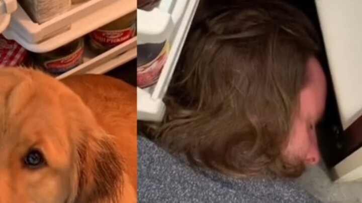 When you get used to living alone and forget you have a dog...