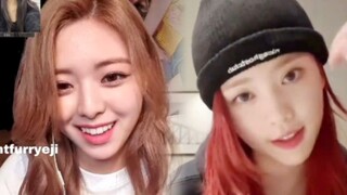 沈小婷、申有娜: BLACKPINK回归很激动！