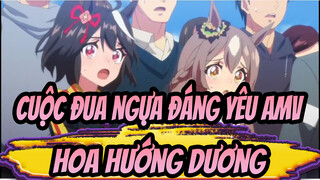 [Cuộc đua ngựa đáng yêu AMV] Hoa hướng dương