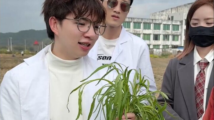 什么是抽筋菜?