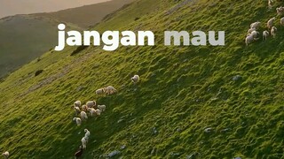 Jangan Mau