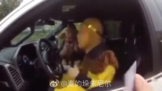 大清都亡了你还大唐