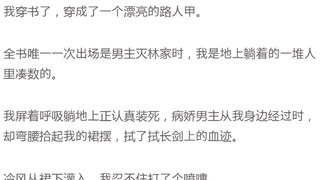 我穿书了，穿成了一个漂亮的路人甲