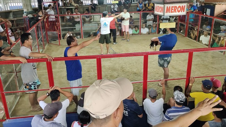 back to back champion sana dinaya lang samin jan