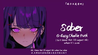 “机翼上的猹！！！”||《Sober》