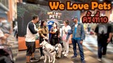 We Love Pets ครั้งที่10 EP.265